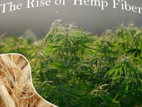 rise of hemp